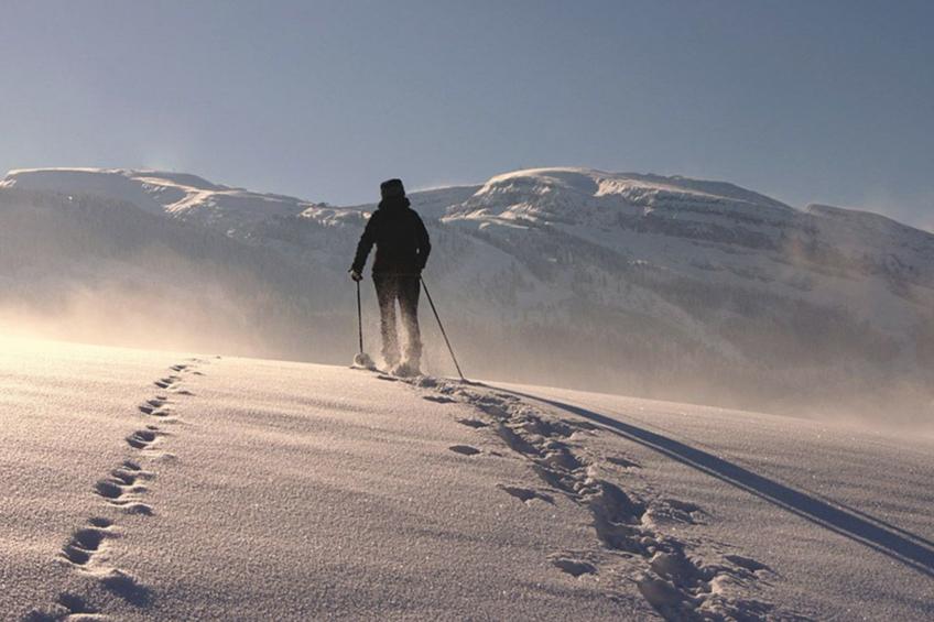 Das Grasberghaus - Urlaub mit der Familie - foto 38