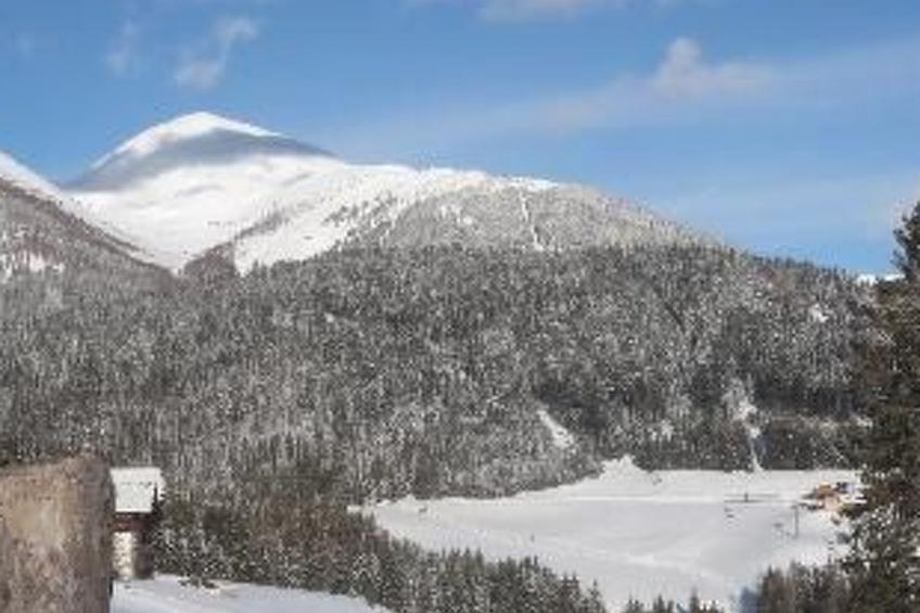 Haus Adler - foto 32