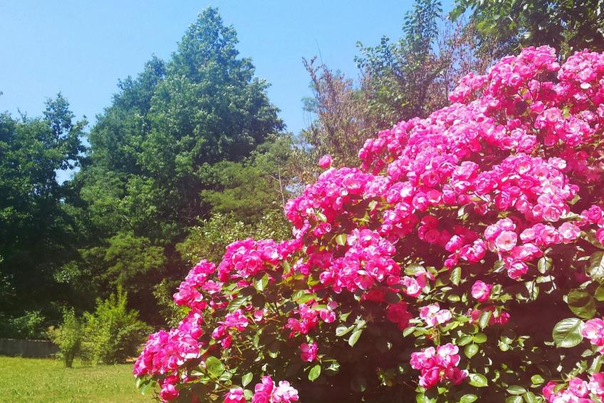 Romantische Villa mit weitläufigem Garten - foto 37