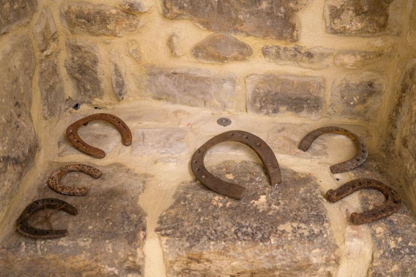 Wohnung 'Casa del Pozzo' mit Terrasse - foto 30