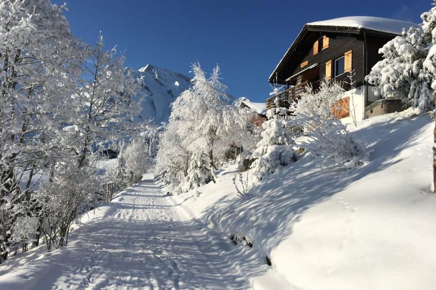 Chalet Hörler - foto 29