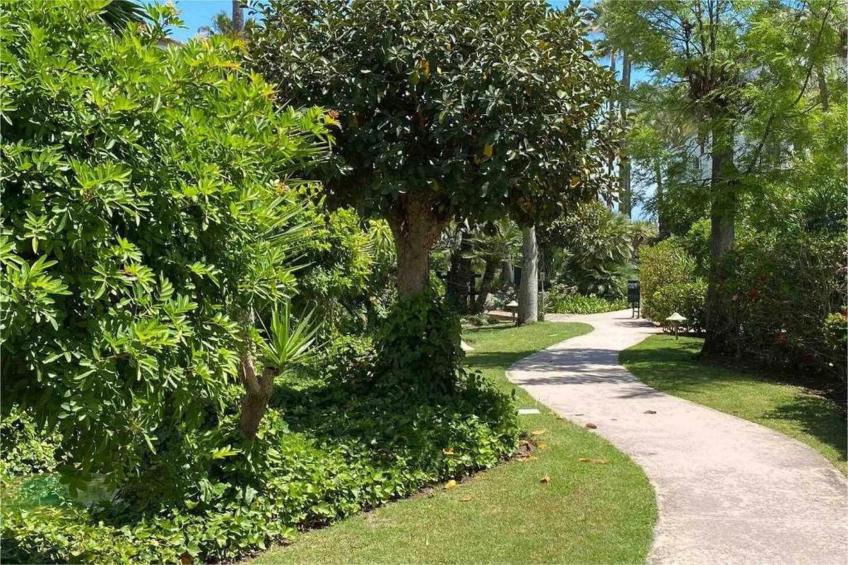 Benavista Studio - El Paraiso - foto 16