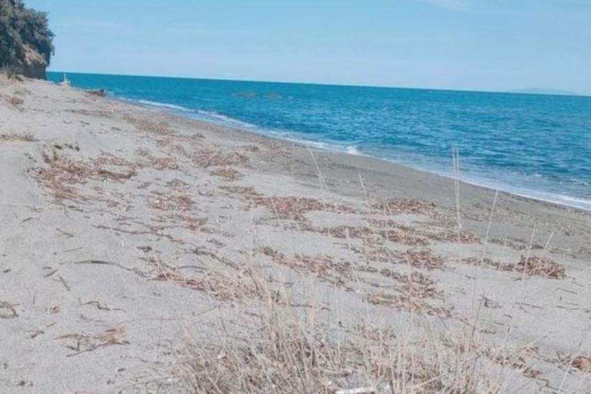 Wohnung "Authentisches korsisches Haus" - foto 8