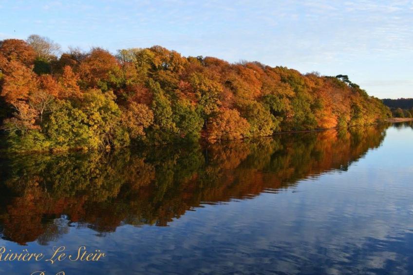 Ferienhaus - foto 48