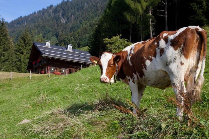 Berghütte "Le Chalet de Lara" - foto 34