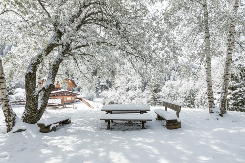 Appartamento la Cerbiatta - foto 18