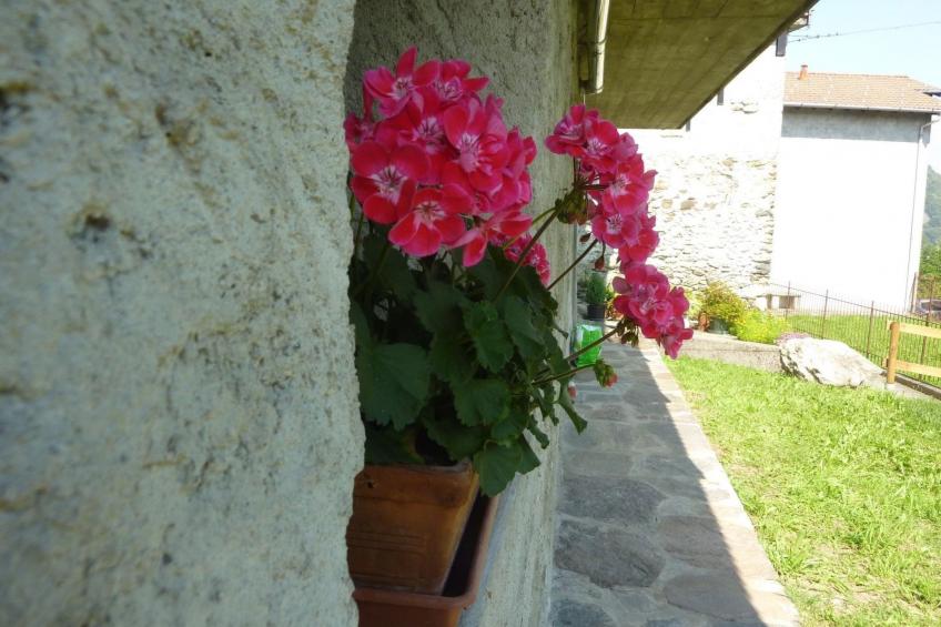 Kleine Perle im Livo-Tal - foto 30