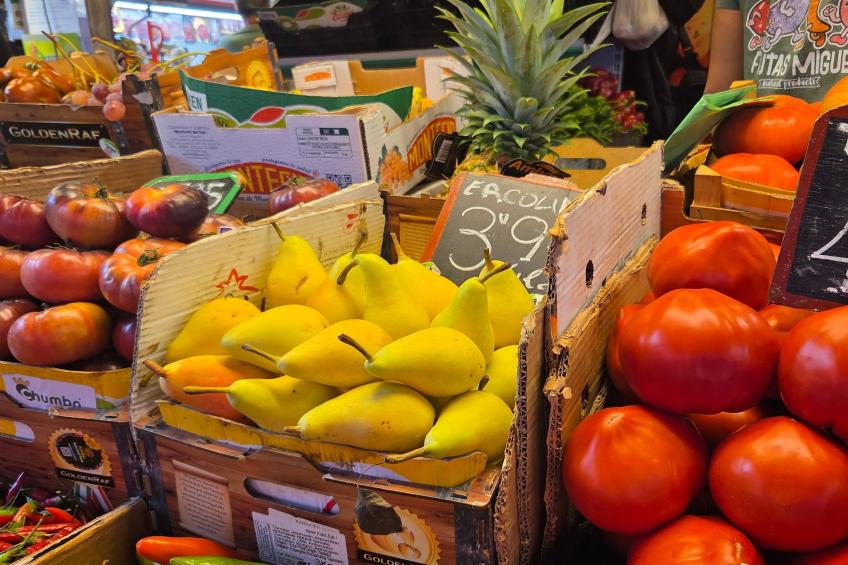 Casita Cartama - foto 23