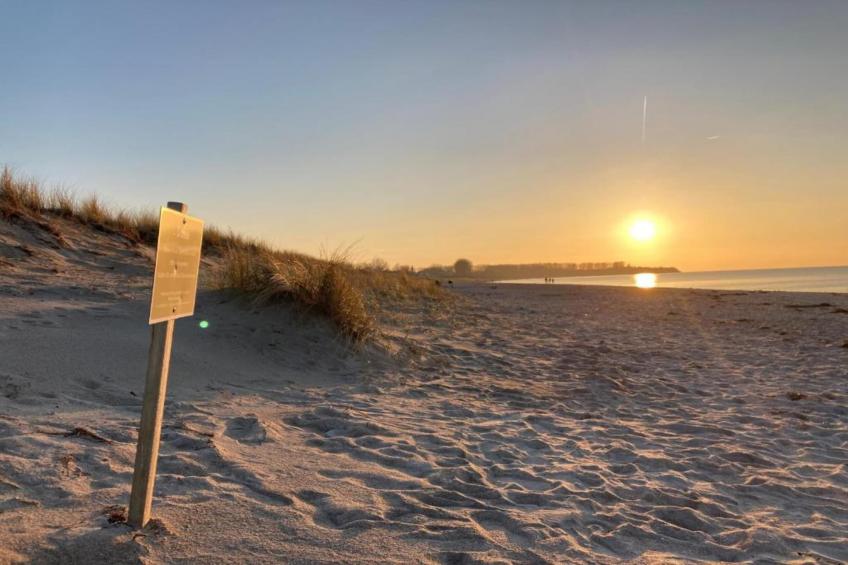 Ferienwohnung Albatross - strandnaher Urlaub Ostseebad Rerik - foto 25