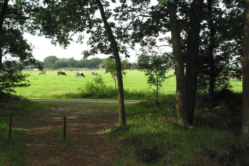 Vakantiepark Schaijk 8 - foto 35