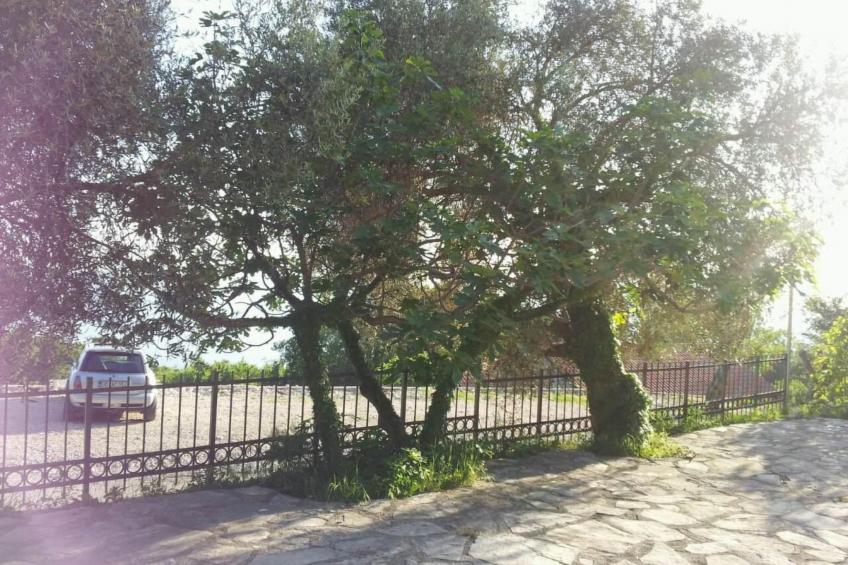 Ferienvilla mit Blick auf das Wasser - foto 12