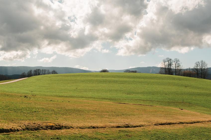 Im Bayerischen Wald - foto 28