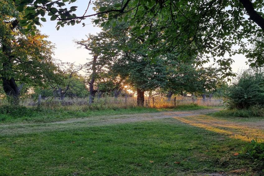 Ranger Lodge 6 pax - foto 8