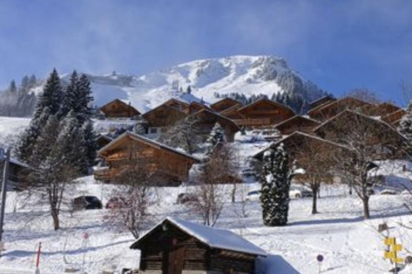 Chalet Iris, appartement N°6, (Champoussin),