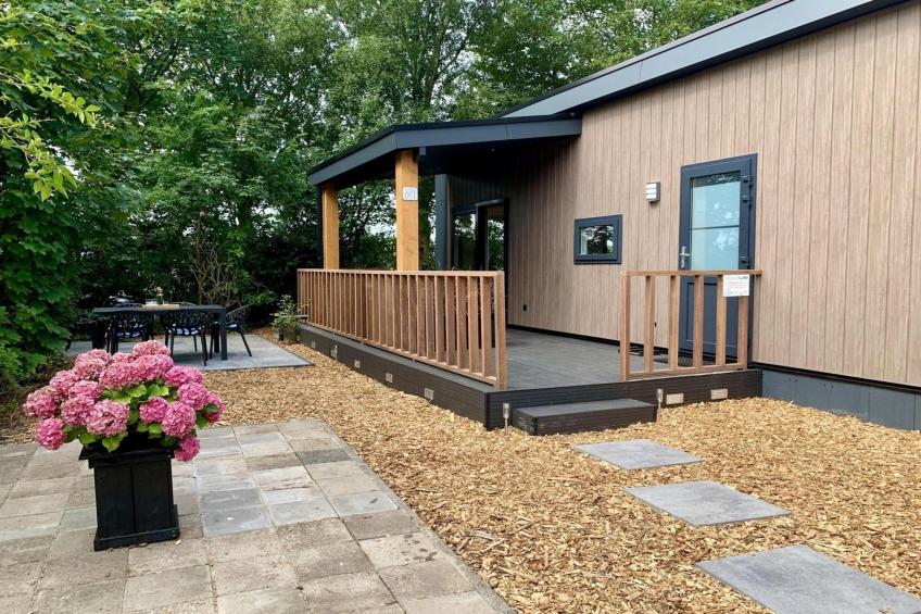 Campanula 136 - foto 21