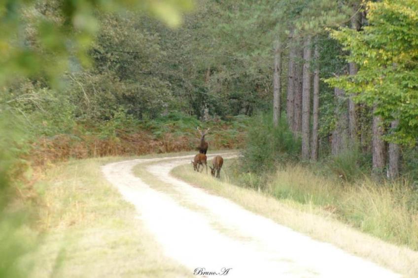 La Campagne - foto 27