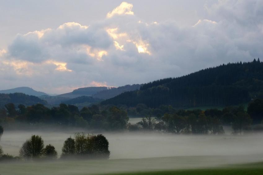 Wilzenberg II - foto 38