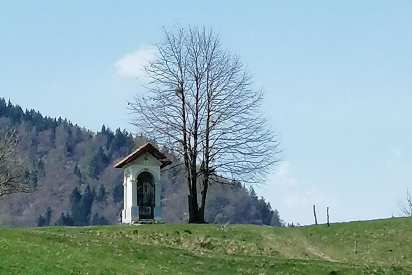 mit eigenem Garten und Terrasse - foto 31