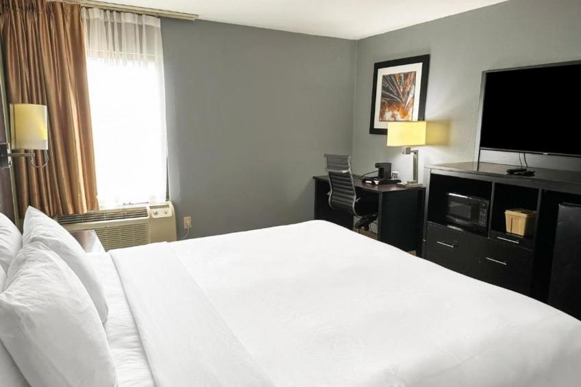 King Bed Accessible - foto 11