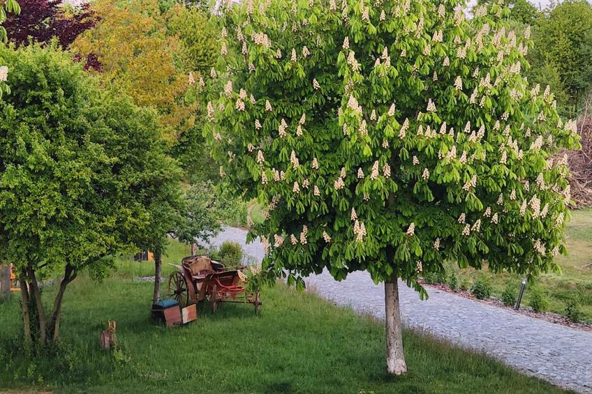 522 Galerie Sauna - foto 25