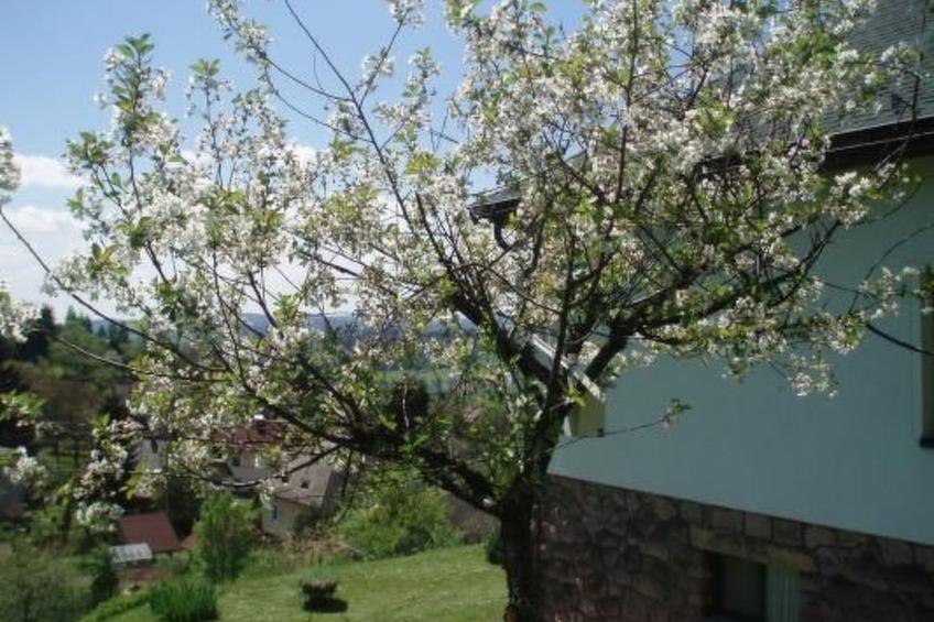 Villa "Na Hora" mit Garten, Grill und Terrasse - foto 24