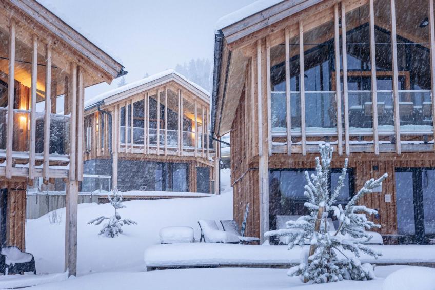 Premium Ferienhaus mit 4 Schlafzimmern Sauna & Pool - foto 18