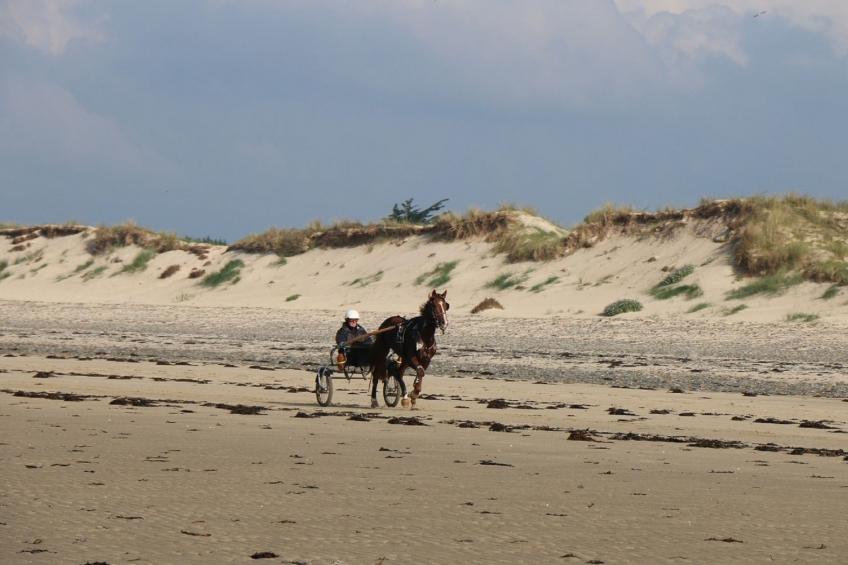 l'Escale dunes, Strände 20 Meter entfernt, Meerblick - foto 47