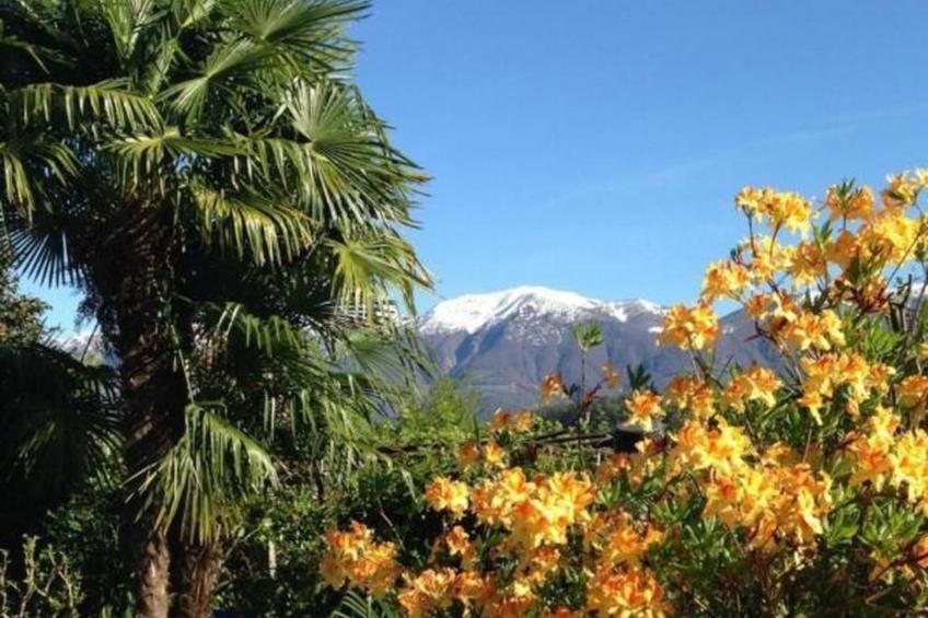 Casa Elena - foto 14