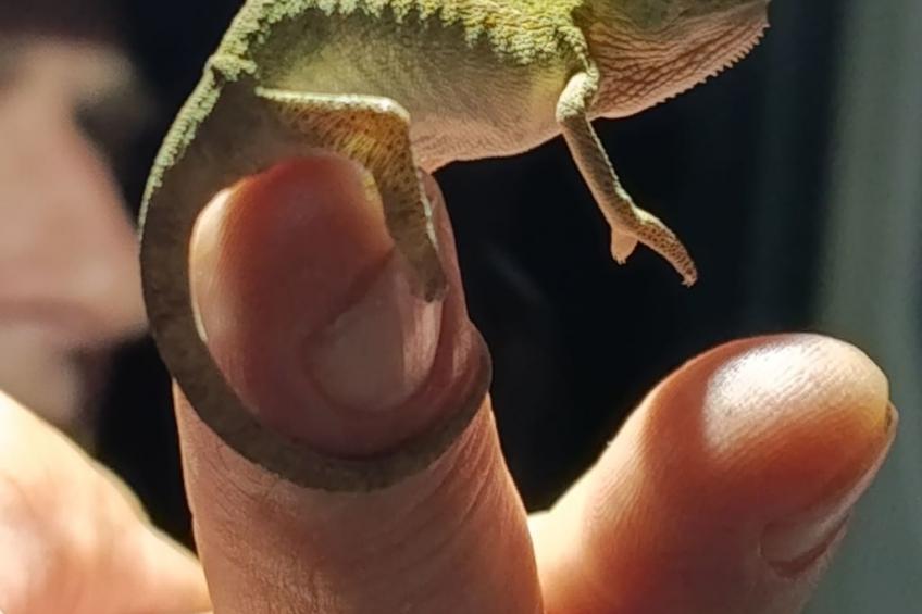 National Park View - foto 32