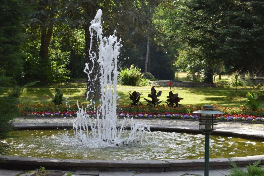 FeWo Siebert - foto 23