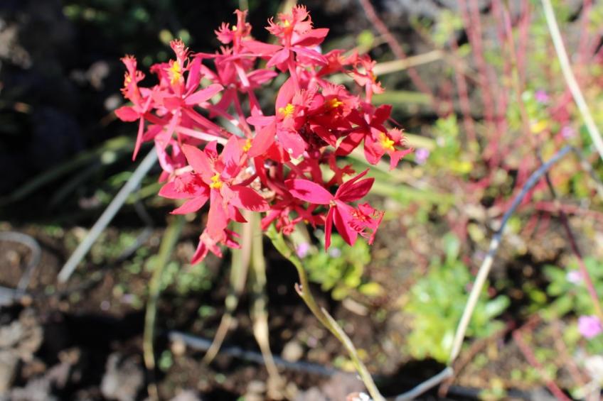 Haus La Majada - foto 27