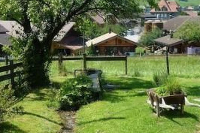 Flädermuus - foto 7