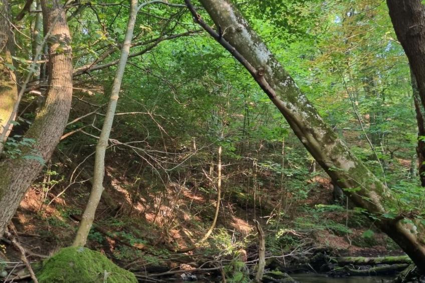 Lublewo21 Ferienhäuser - foto 31