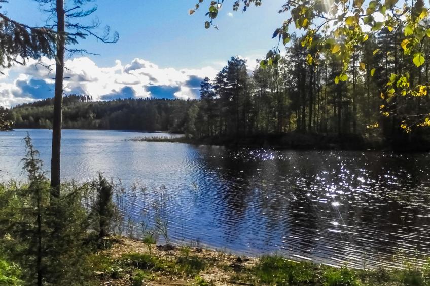 Saarijärvi - foto 26