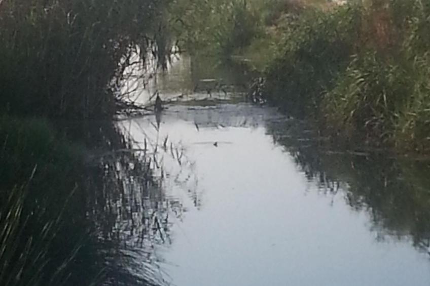 Apartment Zeus Apollo mit mölierter Terrasse - foto 24