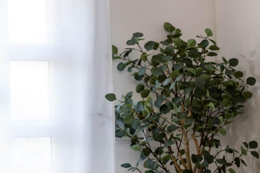 Villa Eden Dubrovnik - Six Bedroom Villa - foto 40