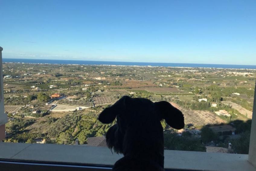 Villa SOL 32 - foto 18