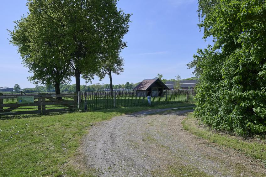 Bouwhoeve - foto 66