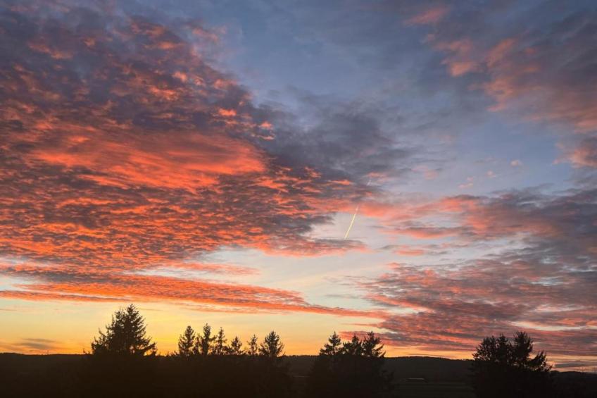 Am Bodensee - foto 20