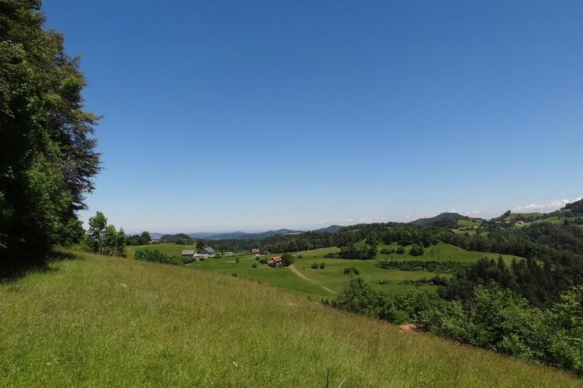 Haus am Sternsberg - foto 12