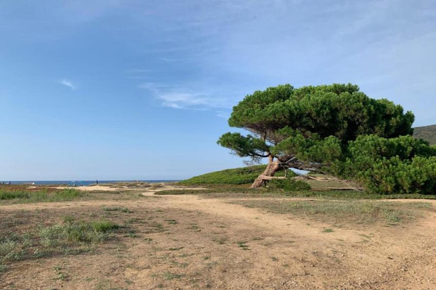 Résidence-Club les Villas Bel Godère - foto 25