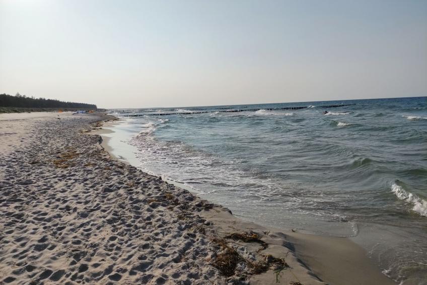 Janet Ratschkowski - foto 48