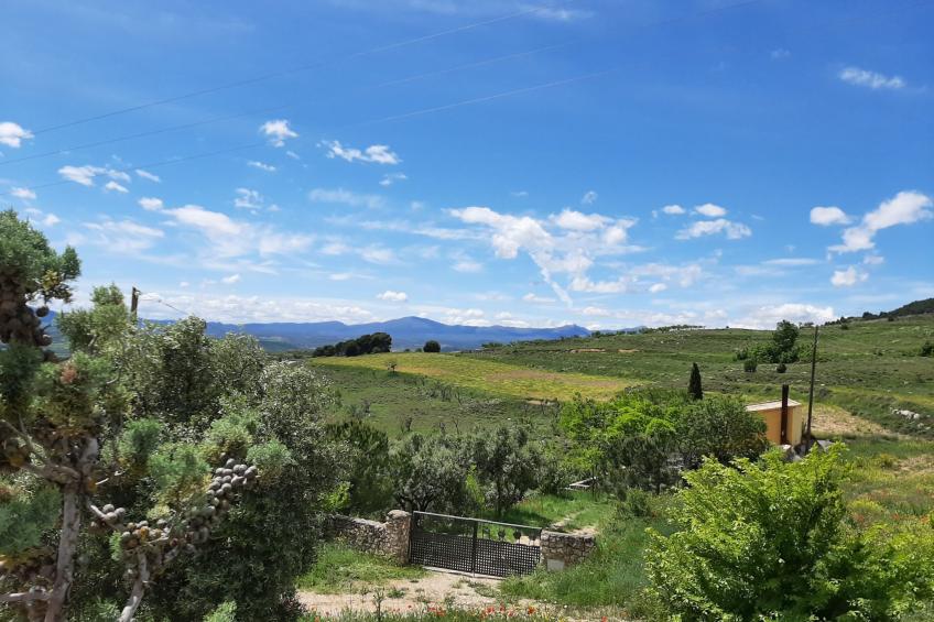 Weingut "Garnacha de Borja". - foto 34