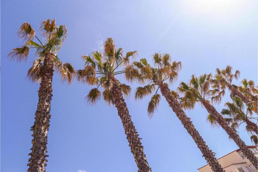 Domaine résidentiel de Plein Air La Pinède - foto 14