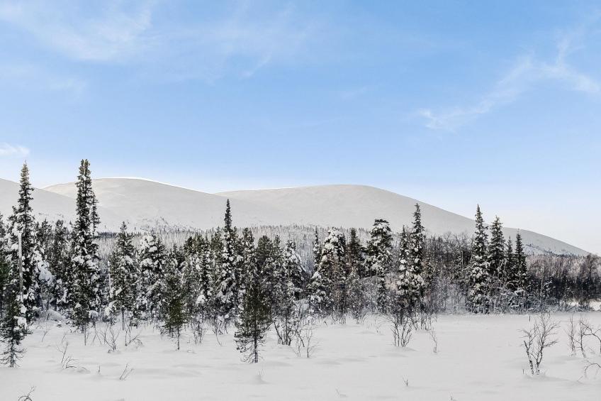 Villa tunturisopuli - foto 35