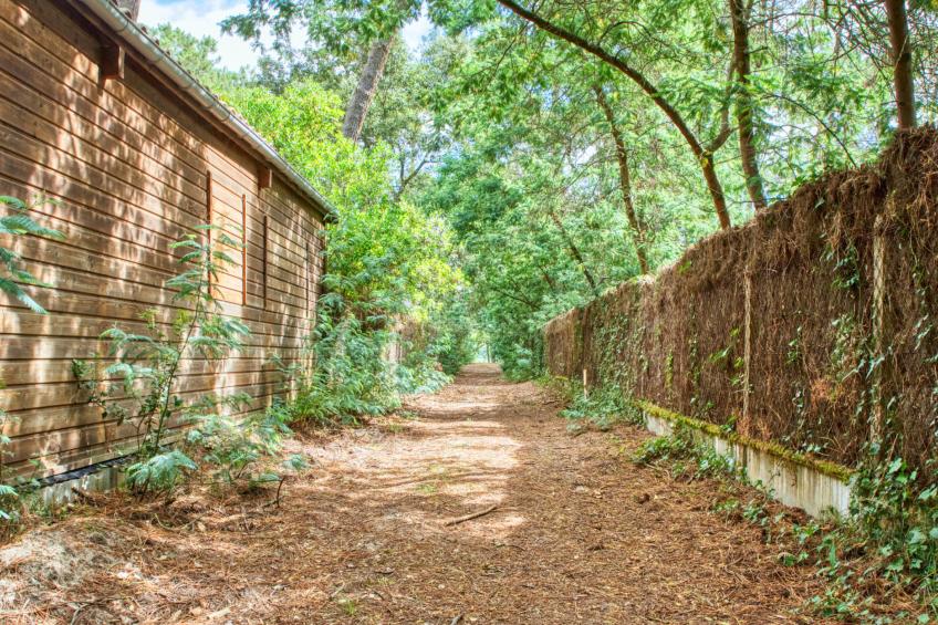 Etoile de Mer - foto 43