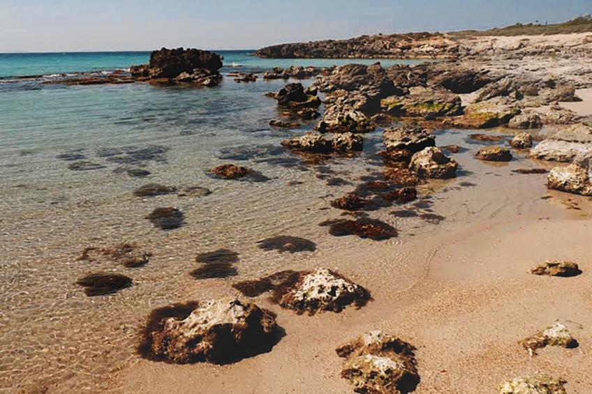 Luxuriöse Strandvilla am Strand in Apulien - foto 37