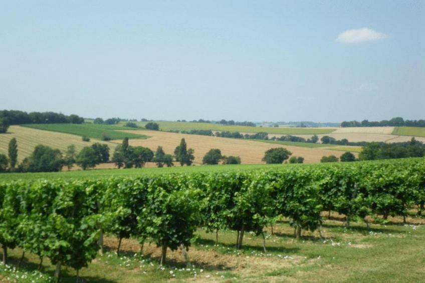 Ecolodge en Sequoia - foto 40