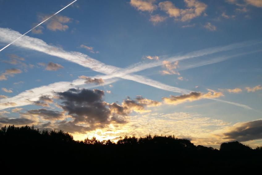 Haus-Zauberblau - foto 12