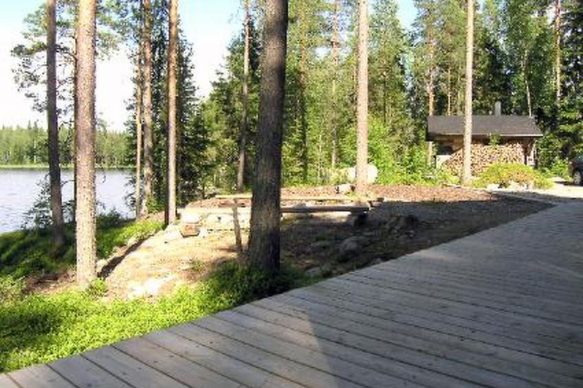 Puolukka - foto 37